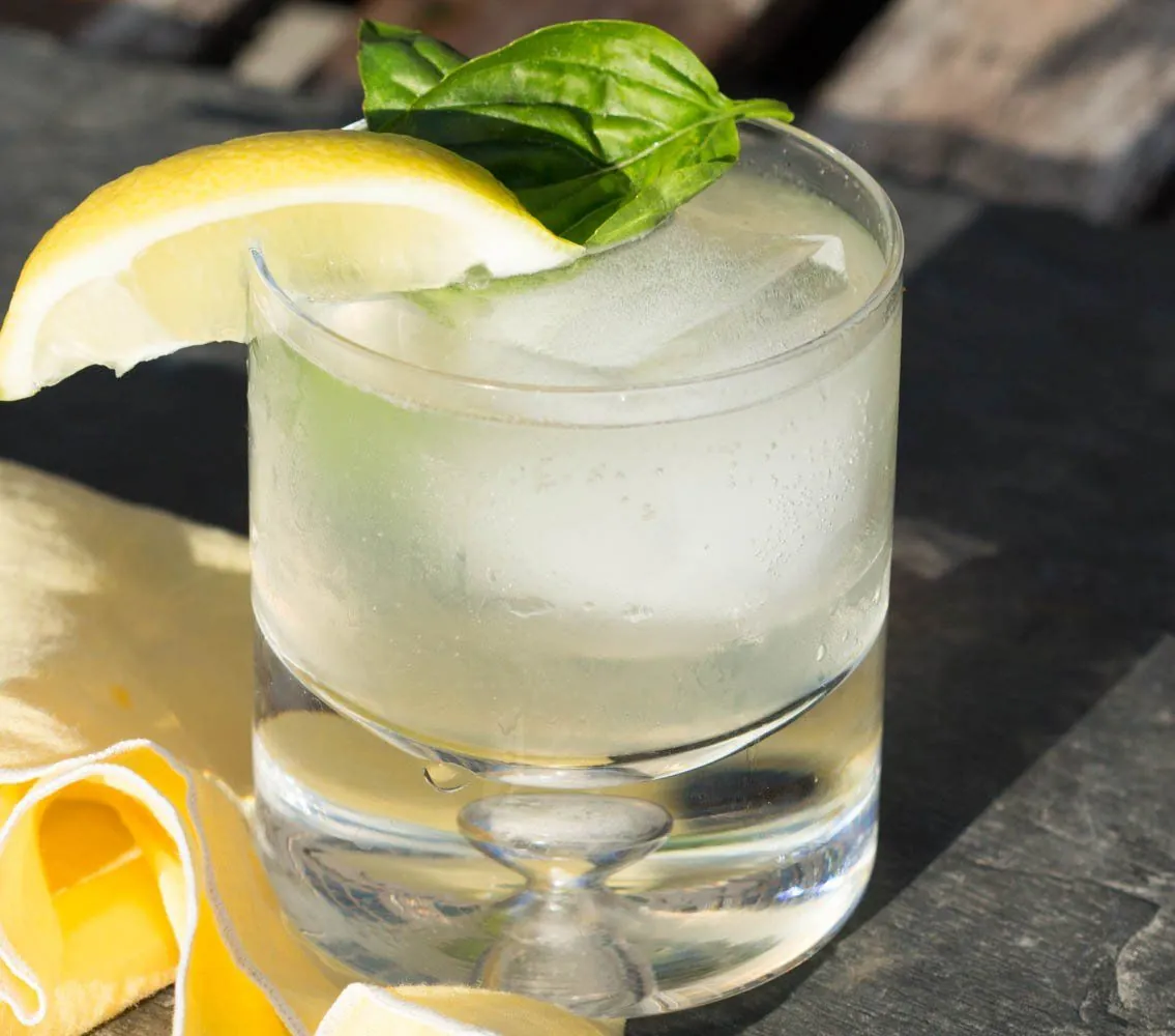 Cóctel Gin Fizz (Cóctel con alcohol) +18 años