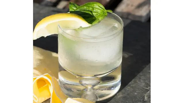 Cóctel Gin Fizz (Cóctel con alcohol) +18 años