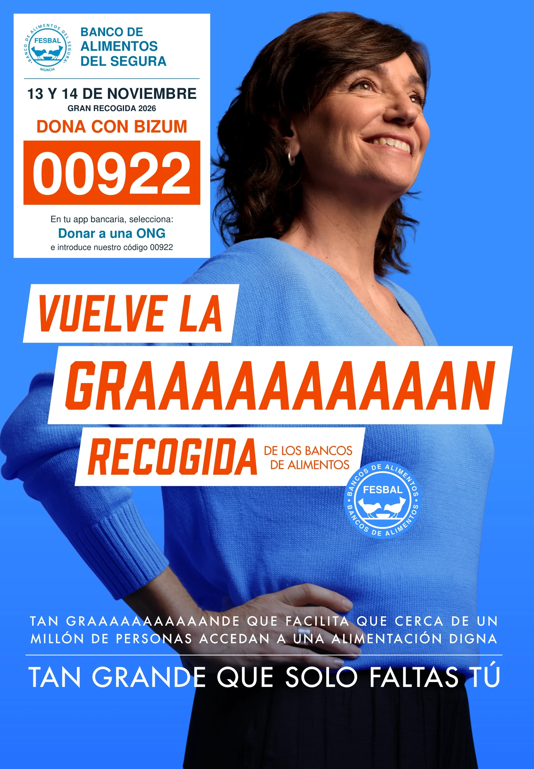 Cartel oficial original de BASMUR: Gran Recogida 2026, 13 y 14 de noviembre, Bizum 00922.
